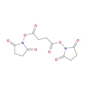 Disuccinimidyl succinate