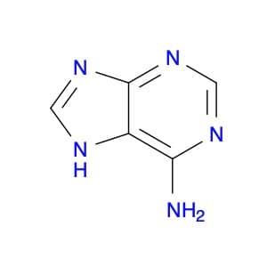 6-Aminopurine