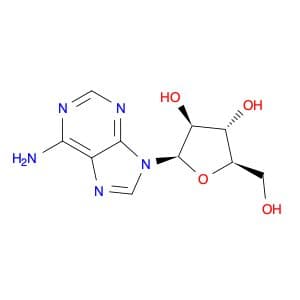 Adenine 9-β-D-arabinofuranoside
