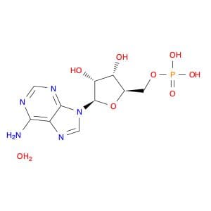 5'-Adenylic acid, hydrate (1:1)