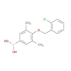 (4-((2-Chlorobenzyl)oxy)-3,5-dimethylphenyl)boronic acid