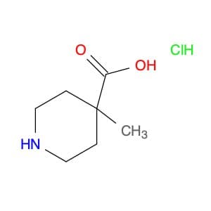 4-Methyl-4-piperidinecarboxylic acid, HCl