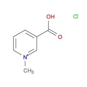 Trigonelline HCl
