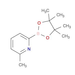 2-methyl-6-(tetramethyl-1,3,2-dioxaborolan-2-yl)pyridine