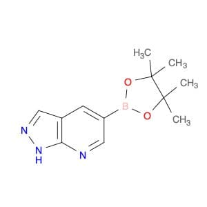 1H-Pyrazolo[3,4-b]Pyridine-5-Boronic Acid Pinacol Ester