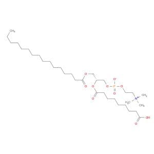 (R)-2-((9-Amino-9-oxononanoyl)oxy)-3-(palmitoyloxy)propyl (2-(trimethylammonio)ethyl) phosphate