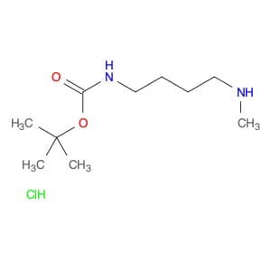 1-Methylamino-4-boc-aminobutane-hcl