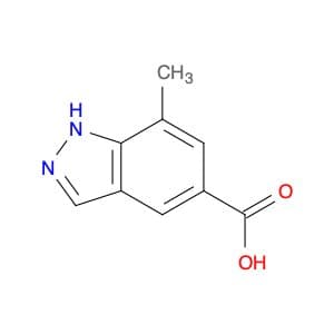 7-methyl-1H-indazole-5-carboxylic acid