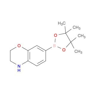 2H-1,4-Benzoxazine, 3,4-dihydro-7-(4,4,5,5-tetraMethyl-1,3,2-dioxaborolan-2-yl)-