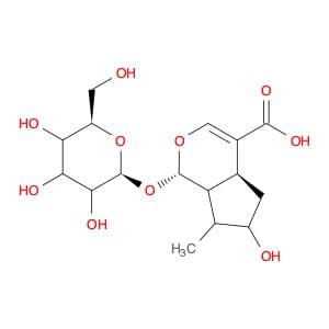 Loganic acid