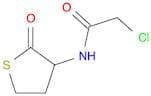2-Chloro-N-(2-oxothiolan-3-yl)acetamide