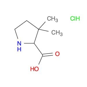 3,3-Dimethylpyrrolidine-2-carboxylic acid hcl