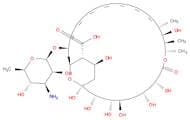 AmphotericinB