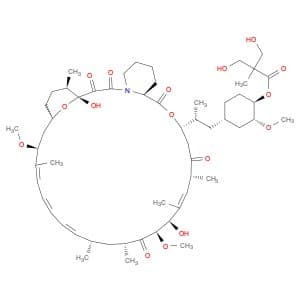 Temsirolimus
