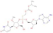 Inarigivir soproxil