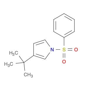 3-(tert-Butyl)-1-(phenylsulfonyl)-1H-pyrrole