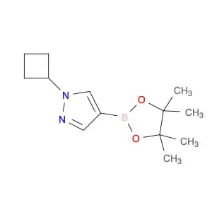1H-Pyrazole, 1-cyclobutyl-4-(4,4,5,5-tetramethyl-1,3,2-dioxaborolan-2-yl)-