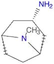 endo-8-Methyl-8-azabicyclo[3.2.1]octan-3-amine