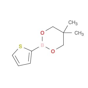 Thiophene-2-boronic acid, neopentyl glycol ester