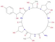 Echinocandin B, 1-[(4R,5R)-4,5-dihydroxy-L-ornithine]-