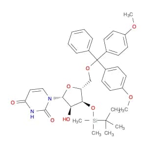 5'-O-(4,4'-DiMethoxytrityl)-3'-O-t-butyldiMethylsilyl uridine