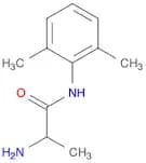 Tocainide