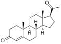 Progesterone extrapure, 97-103%