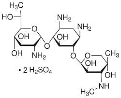 G-418 Sulphate (Geneticin) extrapure