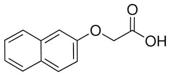 2-Naphthoxyacetic Acid (BNOA) extrapure, 98%
