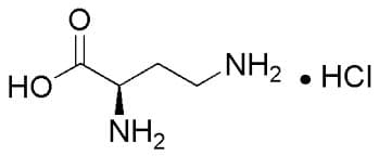 L-2,4 Diaminobutyric Acid Monohydrochloride extrapure, 98%