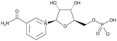 ß-Nicotinamide Mononucleotide (ß-NMN) extrapure, 98%