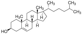 Cholesterol ex. Sheep Wool (Lanolin) for cell culture, 99%, Endotoxin (BET) 0.05EU/mg