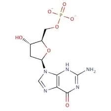 2’-Deoxyguanosine -5’-Monophosphate Sodium Salt (dGMP) extrapure, 98%
