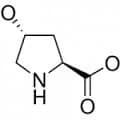 L-Hydroxyproline extrapure CHR, 99%