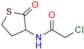 N-Chloroacetyl DL-Homocysteine Thiolactone