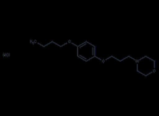 Pramocaine hydrochloride