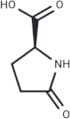 L-Pyroglutamic acid