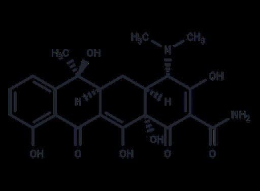 Tetracycline
