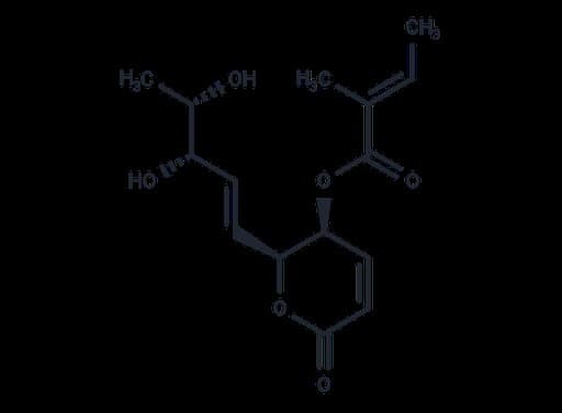 Phomopsolide B