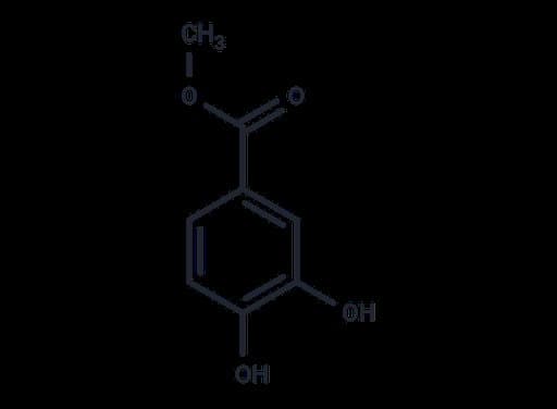 Methyl 3,4-dihydroxybenzoate