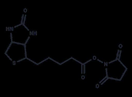 Biotin NHS