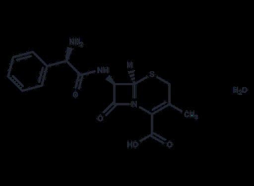 Cephalexin monohydrate