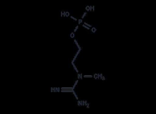 Aplodan
