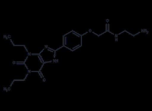 Xanthine amine congener