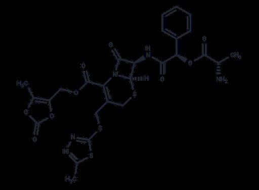 Cefcanel daloxate