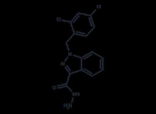 Adjudin