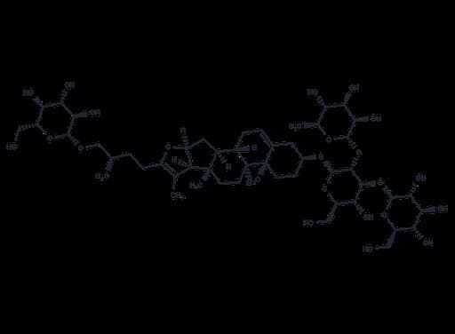 Pseudoprotogracillin