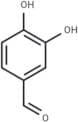 Protocatechualdehyde