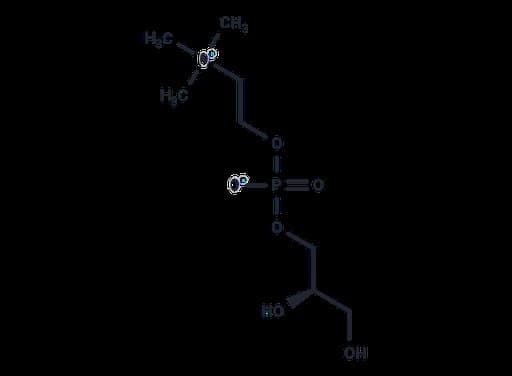sn-Glycero-3-phosphocholine