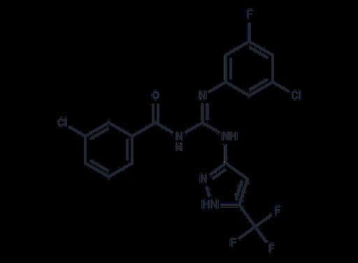 Parimifasor